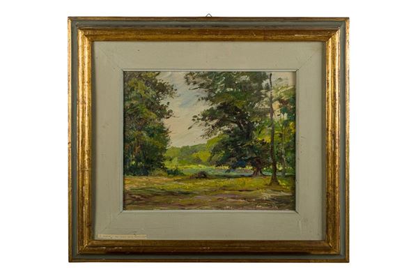 Wooded landscape