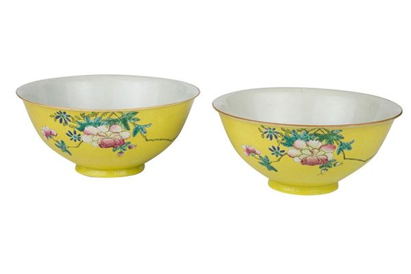 Coppia di bowl in porcellana