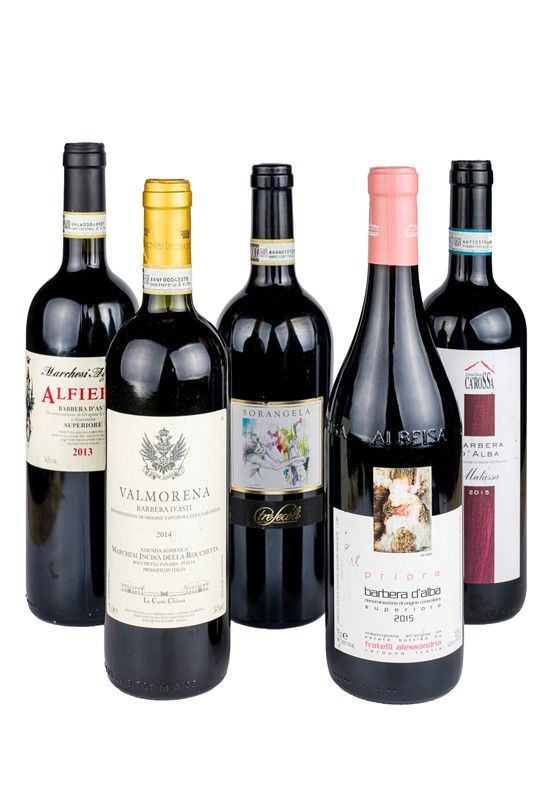 Selezione di cinque Barbera