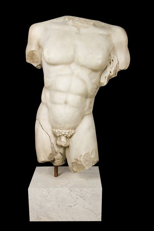 Athlete&#39;s torso