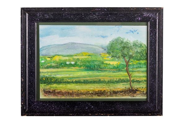 Paesaggio campestre