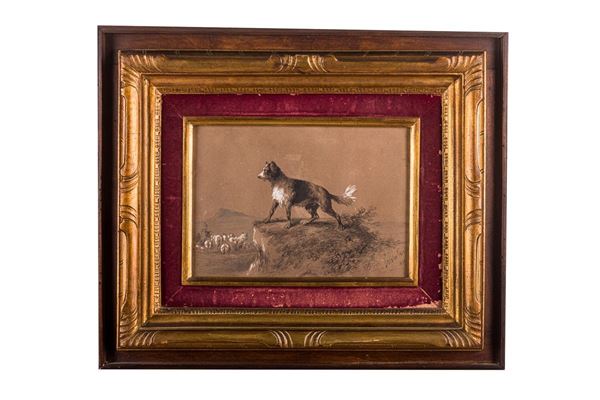 Gonsalvo Carelli - German shepherd