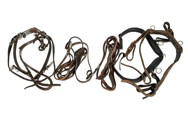 Lot of vintage harnesses