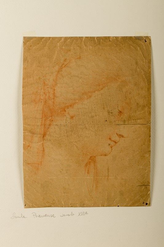 Studio di volto femminile