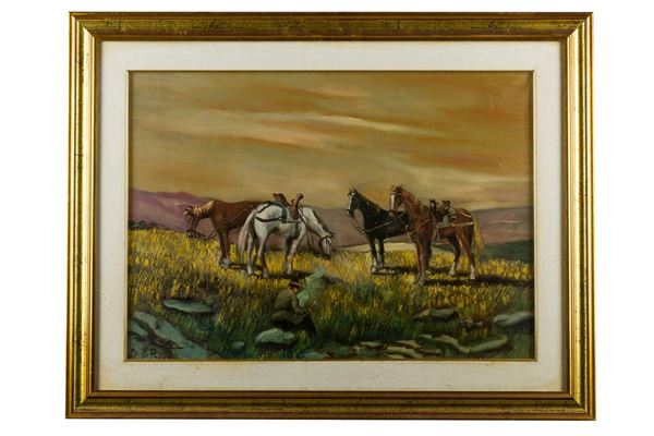 Horses parked