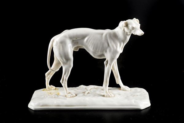 Greyhound