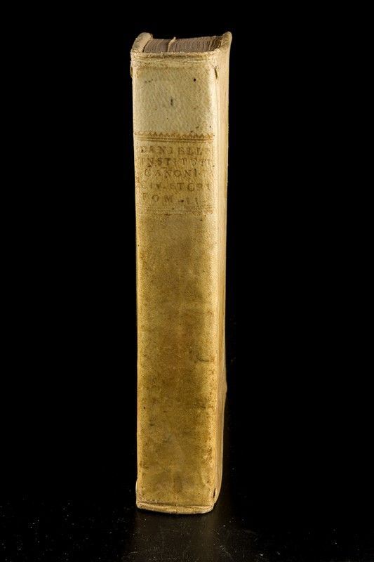 Institutiones canonicae, civiles, et criminales, Petro Antonio Danieli Romano