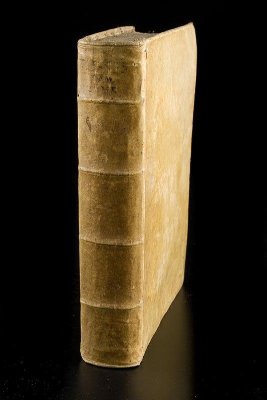 Damnatae Theses ab Alexandro VII, Innocentio XI et Alexandro VIII - P. Dominico Viva