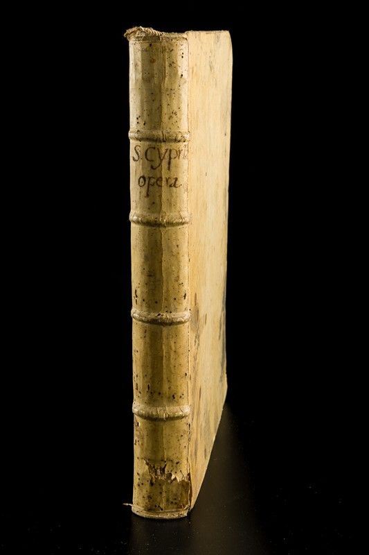 D. Caecilii Cypriani Episcopi Carthaginiensis et Martyris Christi Opera
