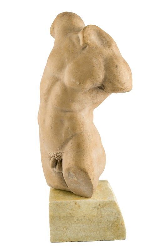 Torso virile