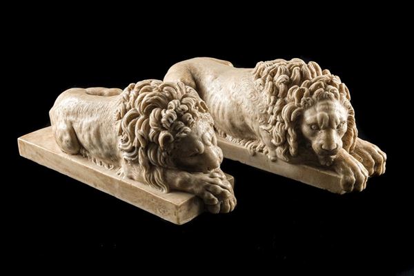 Lions in marble dust
