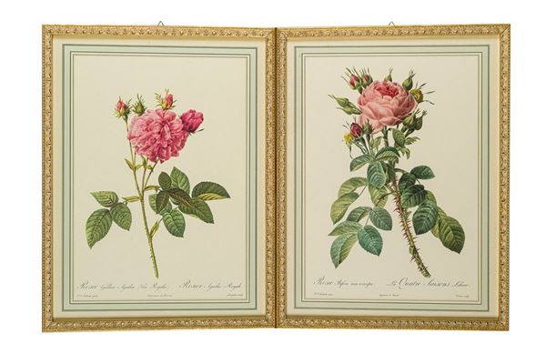 Pierre-Joseph Redout&#233; - Coppia di incisioni a colori