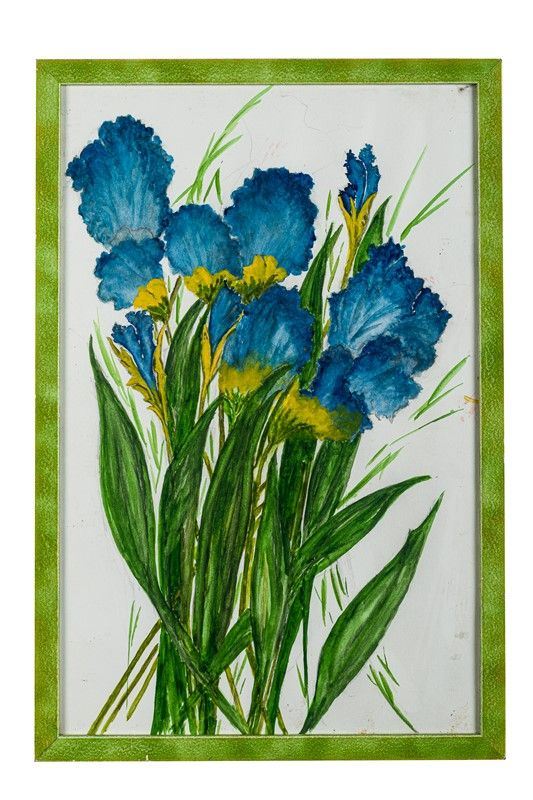 Iris