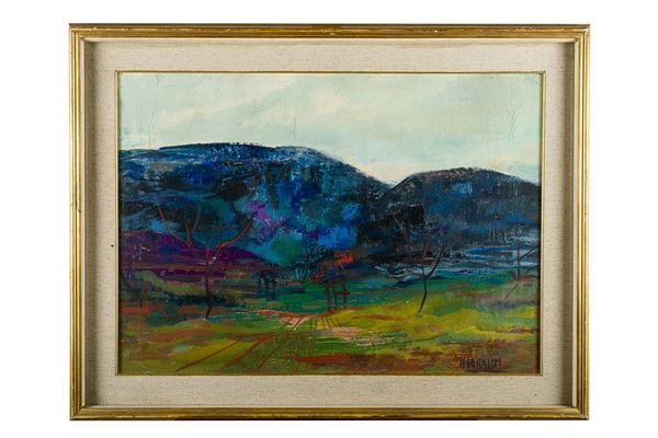 Mountainous landscape