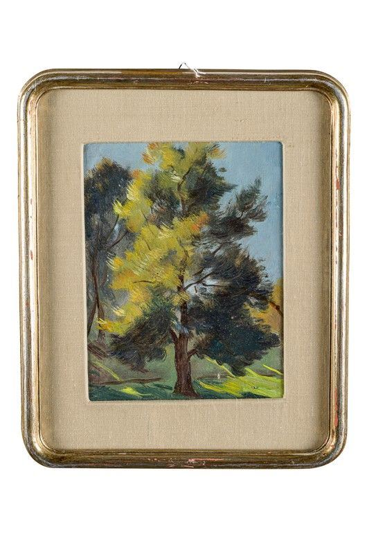 Quercia