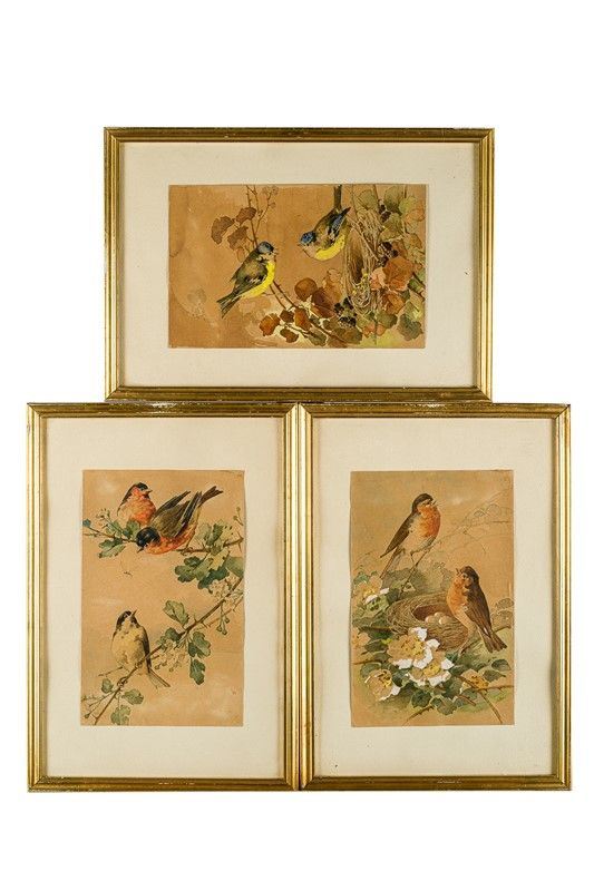 Three watercolors with birds