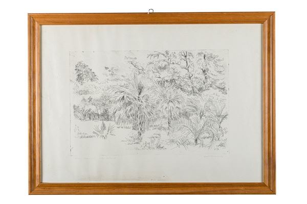 Paolo Marras - Orto Botanico