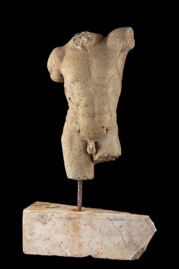 Torso virile