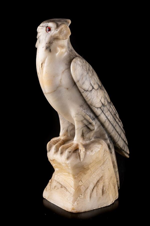 Uccello rapace
