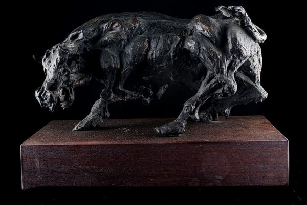 Nuccio Fontanella - Toro