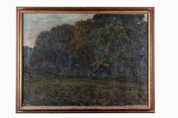 Wooded landscape