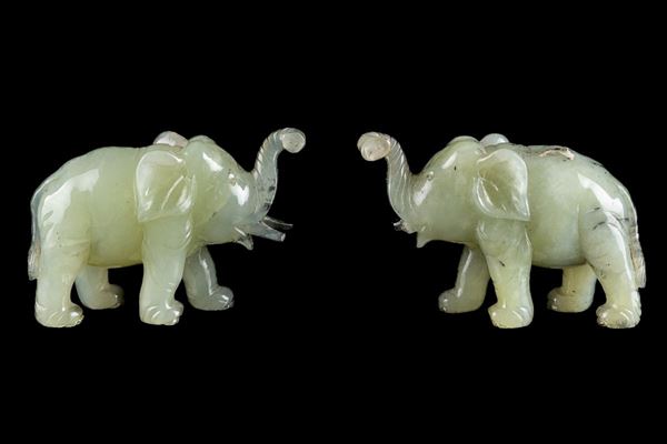 Pair of baby elephants with damaged tusks