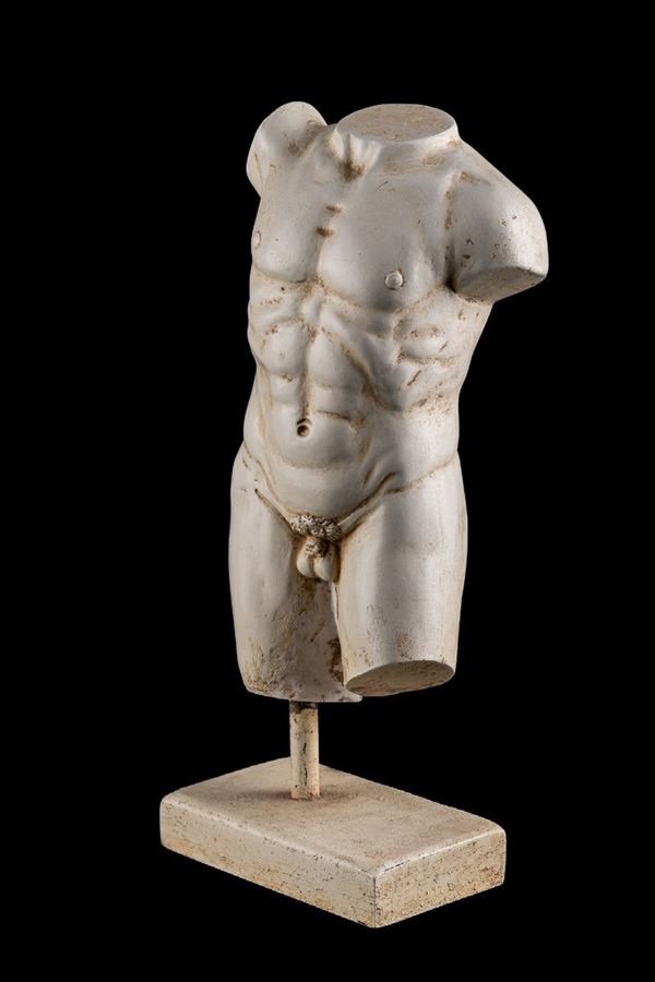 Manly torso