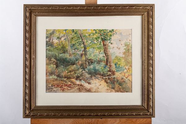 Erulo Eroli - Landscape