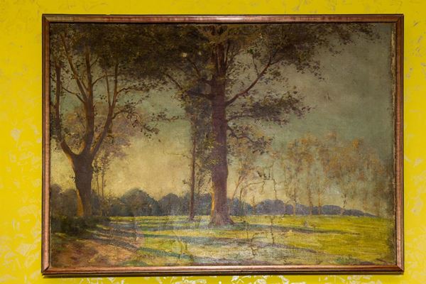 Glimpse of landscape with trees