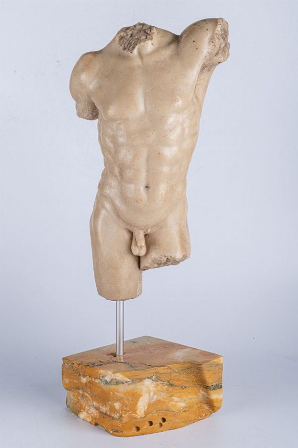 Torso virile