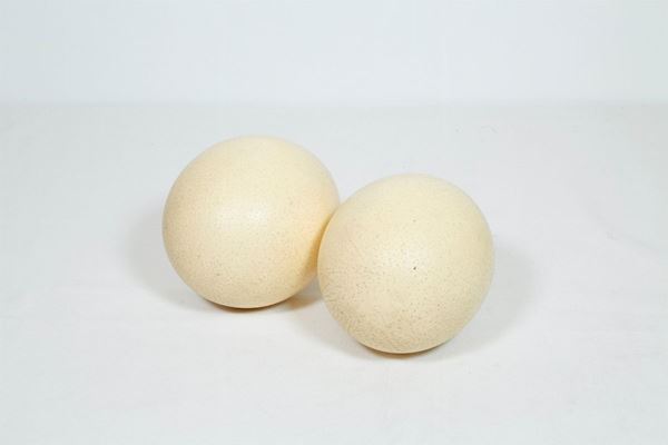 Pair of ostrich eggs