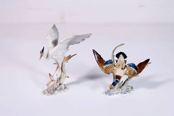 Lot of two birds