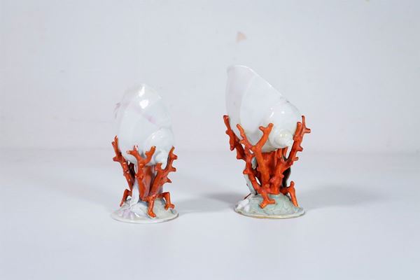 Pair of shells