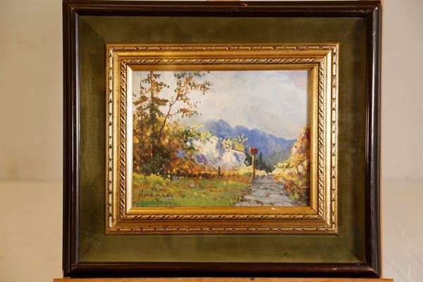 Glimpse of landscape with mountains