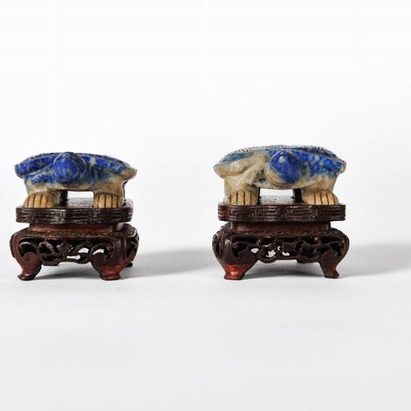 Pair of turtles
