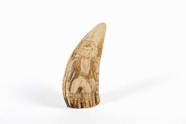 Walrus tooth