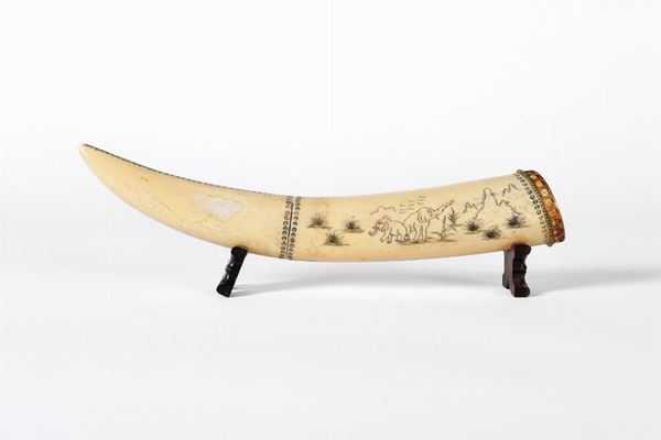 Hippo tusk
