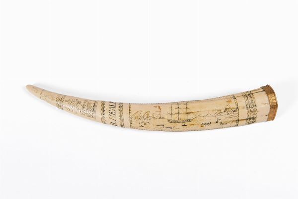 Walrus tooth