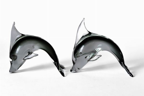 Dolphin couple