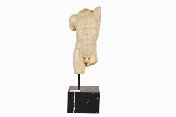 Manly torso