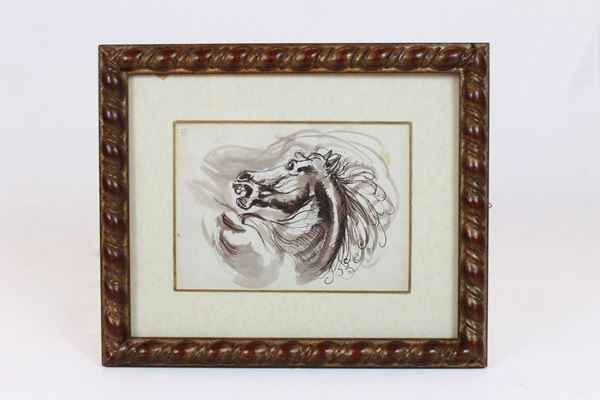 Horse head study
