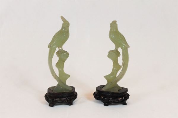 Pair of birds