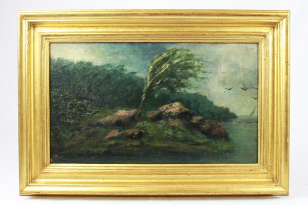 Paesaggio