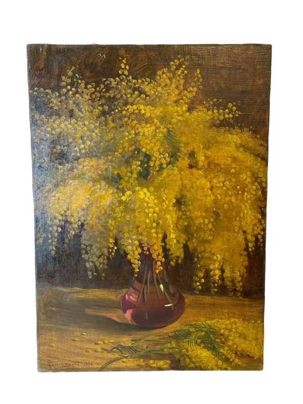 Arturo Barazzutti - Mimose