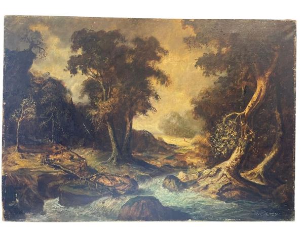 Paesaggio boschivo