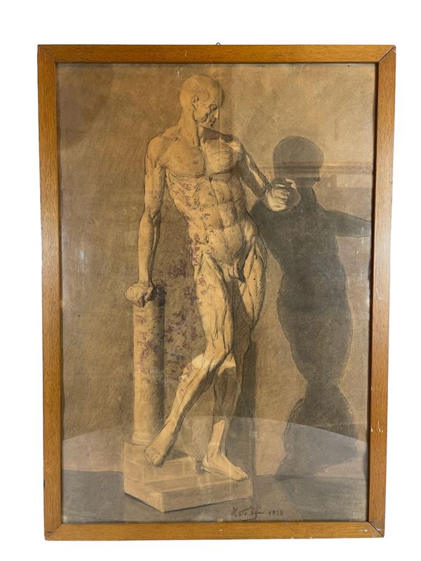 Studio anatomico