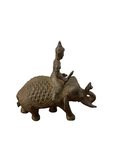 Teppanom ed Elefante