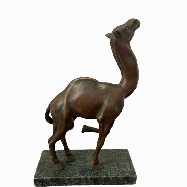 Tommaso Gismondi - Dromedario