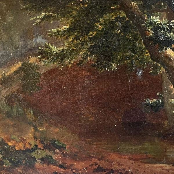 Carlo Pittara - Paesaggio boschivo 