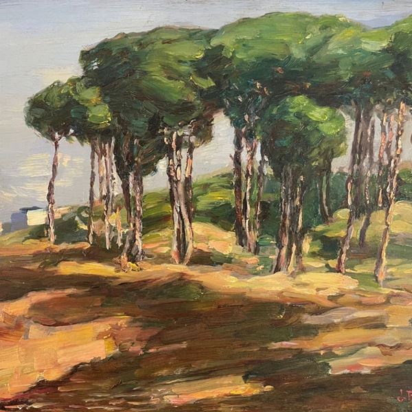 Luigi Petrassi - Pini di Roma da Prima Porta